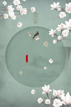 糖心91白虎